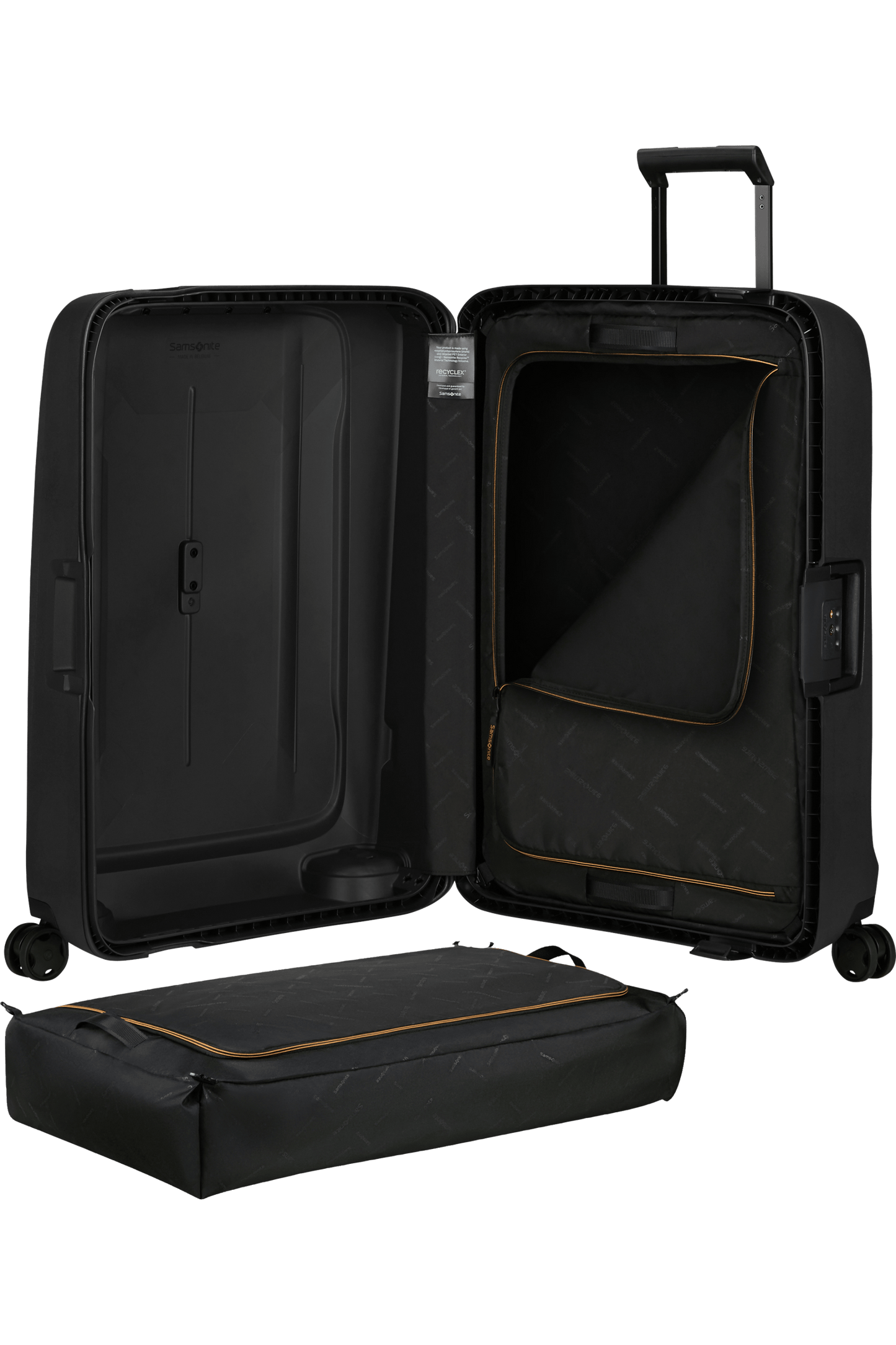 Samsonite{name]