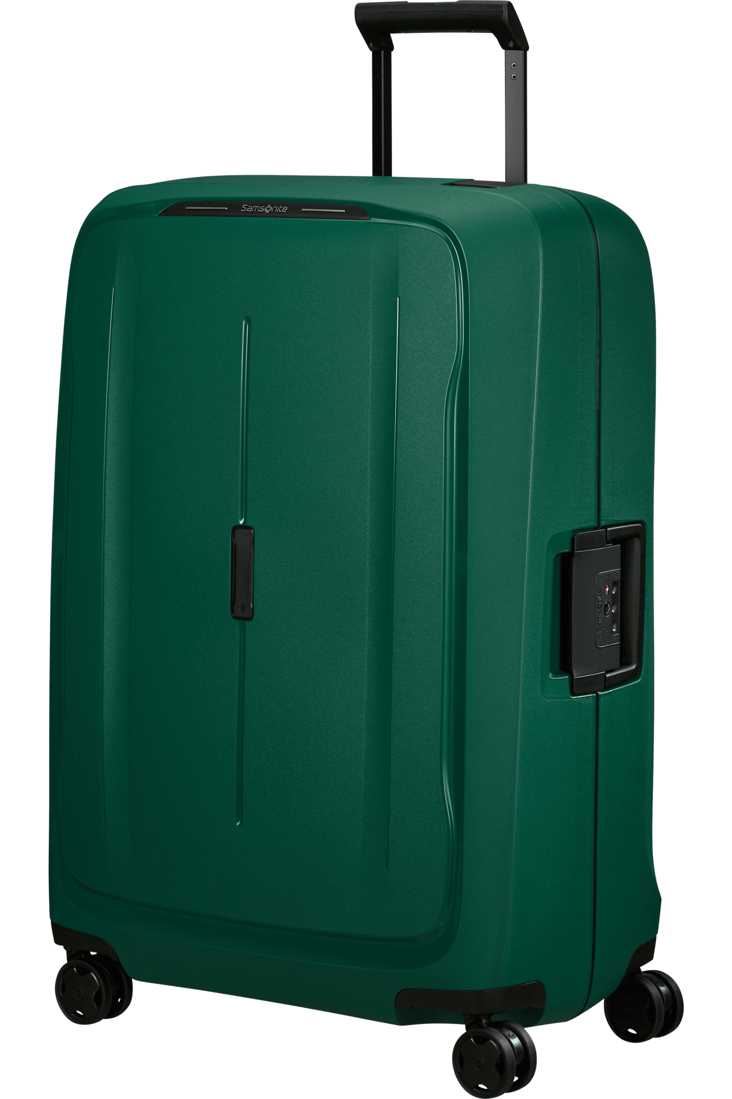 Samsonite{name]