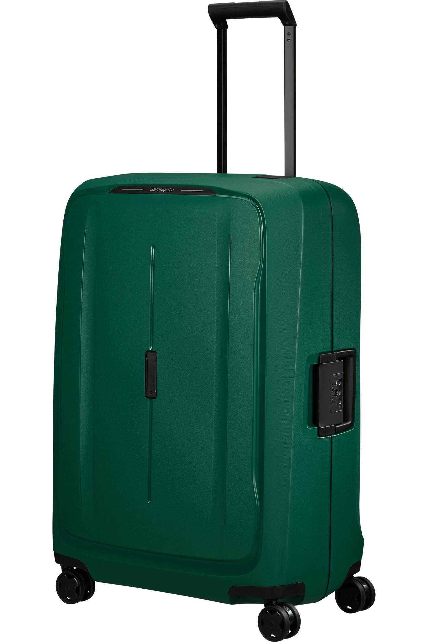 Samsonite{name]