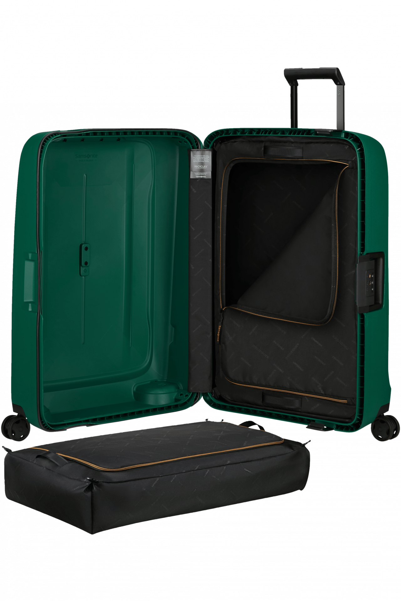 Samsonite{name]