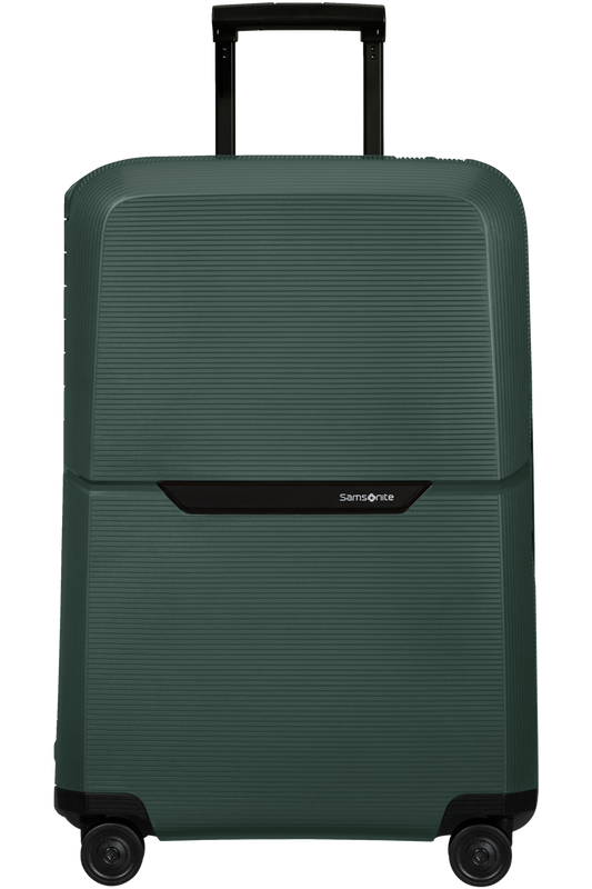 Samsonite{name]